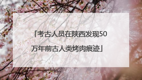 考古人员在陕西发现50万年前古人类烤肉痕迹