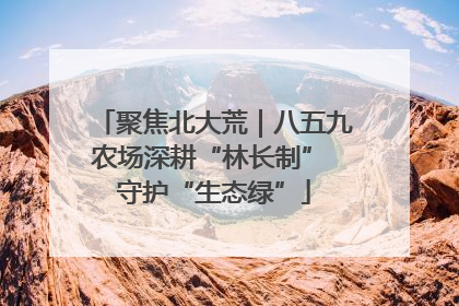 聚焦北大荒｜八五九农场深耕“林长制” 守护“生态绿”