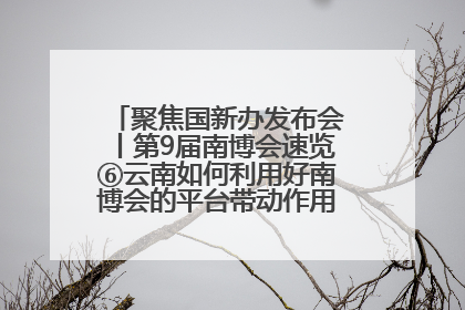 聚焦国新办发布会丨第9届南博会速览⑥云南如何利用好南博会的平台带动作用，深化与南亚国家的交流与合作？