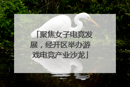 聚焦女子电竞发展，经开区举办游戏电竞产业沙龙