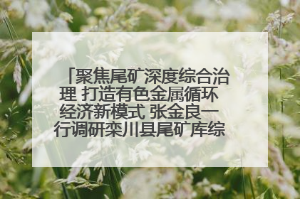 聚焦尾矿深度综合治理 打造有色金属循环经济新模式 张金良一行调研栾川县尾矿库综合治理工作