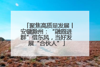 聚焦高质量发展丨安徽滁州：“融圈进群”借东风，当好发展“合伙人”