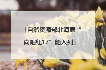 自然资源部北海局“向阳红17”船入列