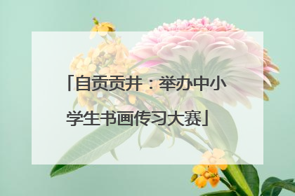 自贡贡井：举办中小学生书画传习大赛