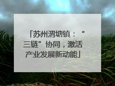 苏州渭塘镇：“三链”协同，激活产业发展新动能