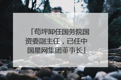苟坪卸任国务院国资委副主任，已任中国星网集团董事长