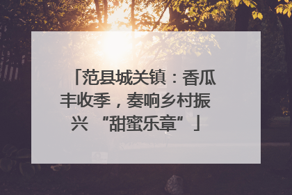 范县城关镇：香瓜丰收季，奏响乡村振兴 “甜蜜乐章”