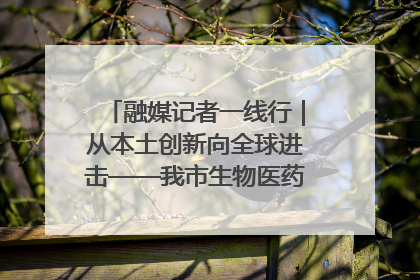 融媒记者一线行｜从本土创新向全球进击——我市生物医药产业破茧突围
