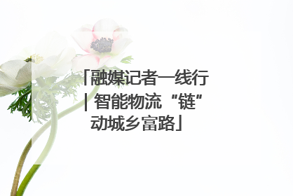 融媒记者一线行｜智能物流“链”动城乡富路
