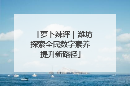 萝卜辣评｜潍坊探索全民数字素养提升新路径