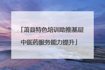 萧县特色培训助推基层中医药服务能力提升