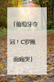 葡萄牙夺冠！C罗掩面痛哭