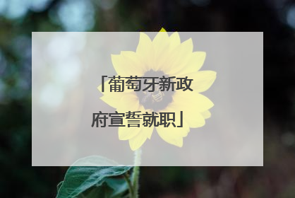 葡萄牙新政府宣誓就职
