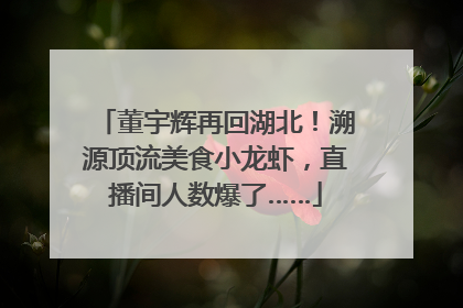 董宇辉再回湖北！溯源顶流美食小龙虾，直播间人数爆了……