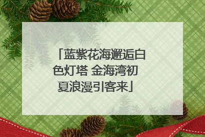 蓝紫花海邂逅白色灯塔 金海湾初夏浪漫引客来