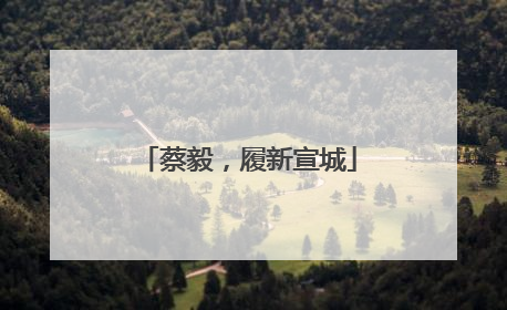 蔡毅，履新宣城