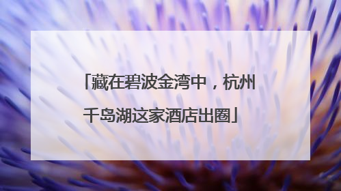 藏在碧波金湾中，杭州千岛湖这家酒店出圈