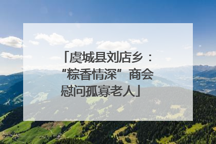 虞城县刘店乡：“粽香情深”商会慰问孤寡老人
