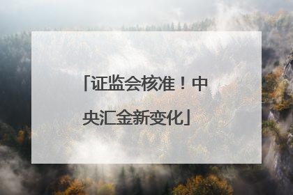 证监会核准！中央汇金新变化