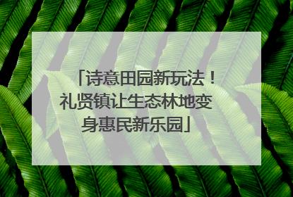 诗意田园新玩法！礼贤镇让生态林地变身惠民新乐园