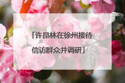许昆林在徐州接待信访群众并调研