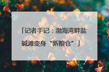 记者手记：渤海湾畔盐碱滩变身“新粮仓”