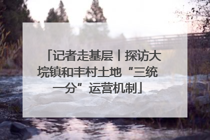 记者走基层丨探访大垸镇和丰村土地“三统一分”运营机制
