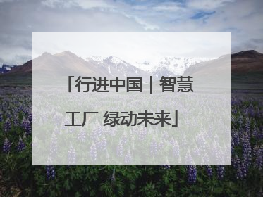 行进中国｜智慧工厂 绿动未来