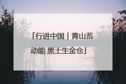 行进中国｜青山蓄动能 黑土生金仓