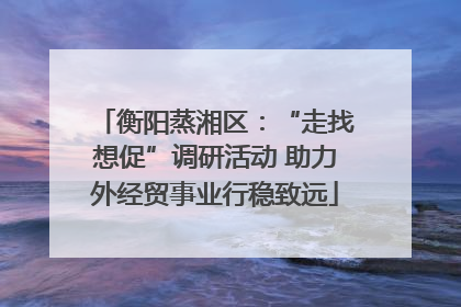 衡阳蒸湘区：“走找想促”调研活动 助力外经贸事业行稳致远