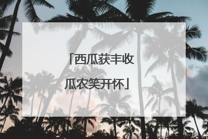 西瓜获丰收 瓜农笑开怀