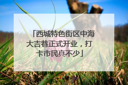 西城特色街区中海大吉巷正式开业，打卡市民真不少