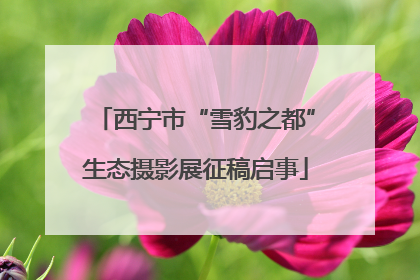 西宁市“雪豹之都”生态摄影展征稿启事
