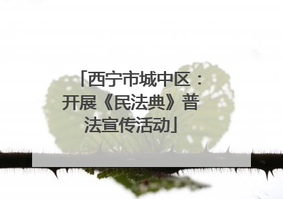 西宁市城中区：开展《民法典》普法宣传活动