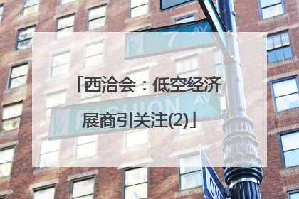 西洽会：低空经济展商引关注(2)
