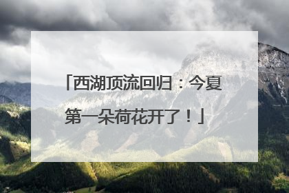 西湖顶流回归：今夏第一朵荷花开了！