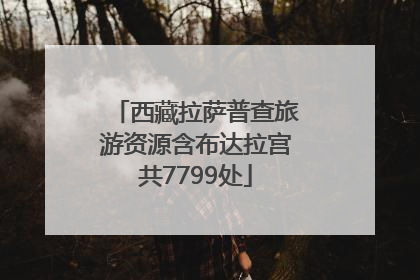 西藏拉萨普查旅游资源含布达拉宫共7799处