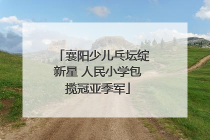 襄阳少儿乓坛绽新星 人民小学包揽冠亚季军