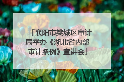襄阳市樊城区审计局举办《湖北省内部审计条例》宣讲会
