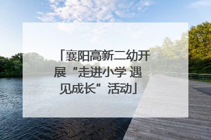 襄阳高新二幼开展“走进小学 遇见成长”活动