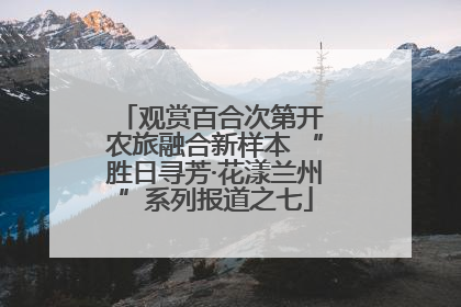 观赏百合次第开 农旅融合新样本 “胜日寻芳·花漾兰州”系列报道之七