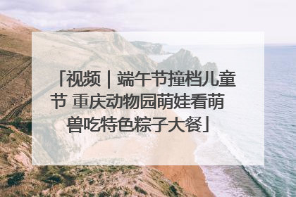 视频｜端午节撞档儿童节 重庆动物园萌娃看萌兽吃特色粽子大餐