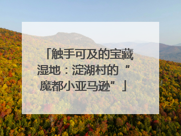 触手可及的宝藏湿地：淀湖村的“魔都小亚马逊”