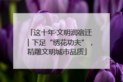 这十年·文明润宿迁｜下足“绣花功夫”，精雕文明城市品质
