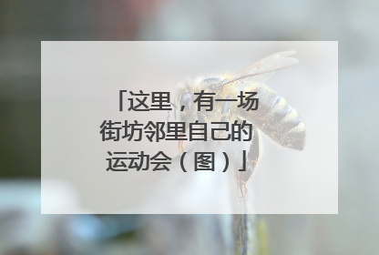 这里，有一场街坊邻里自己的运动会（图）