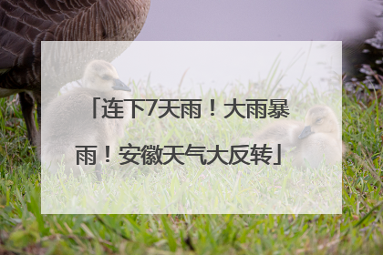 连下7天雨！大雨暴雨！安徽天气大反转