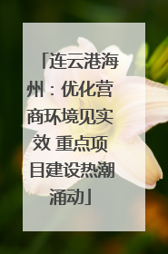 连云港海州：优化营商环境见实效 重点项目建设热潮涌动