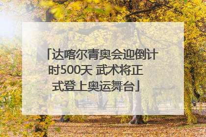 达喀尔青奥会迎倒计时500天 武术将正式登上奥运舞台