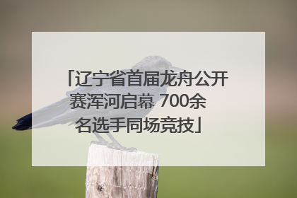 辽宁省首届龙舟公开赛浑河启幕 700余名选手同场竞技