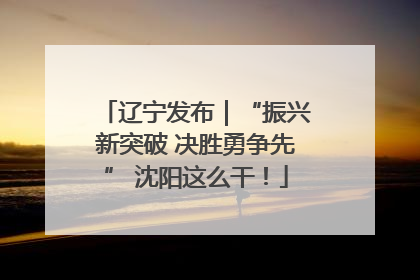 辽宁发布｜“振兴新突破 决胜勇争先” 沈阳这么干！